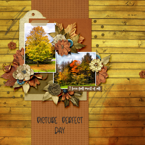 Picture Perfect Day