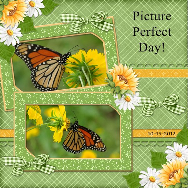 Picture Perfect Day!