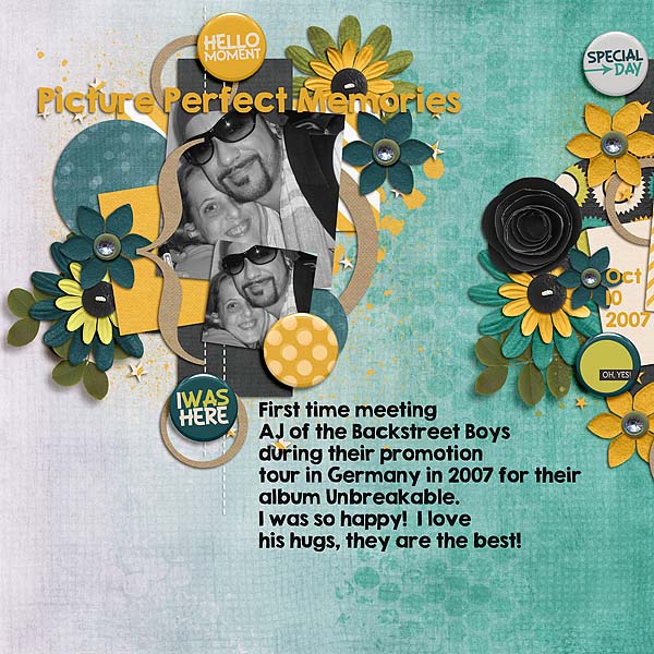 Picture Perfect Memories
