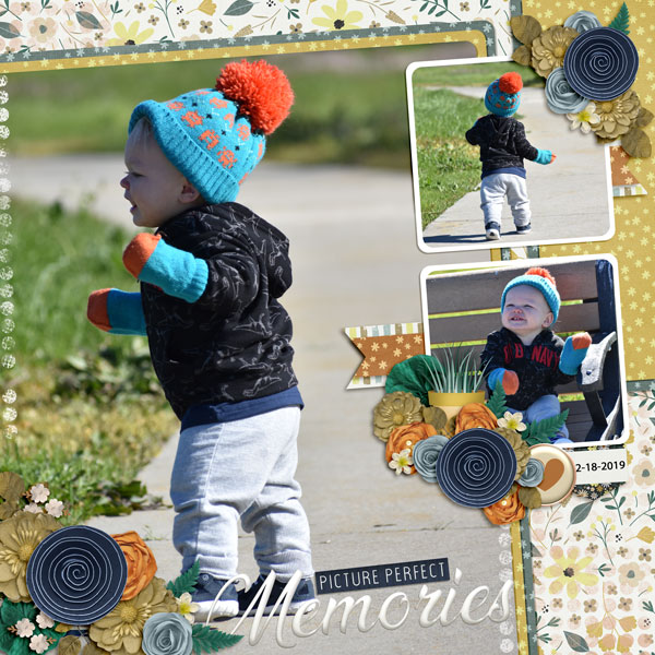 Picture Perfect Memories