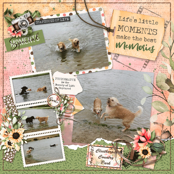 Picture Perfect Moments