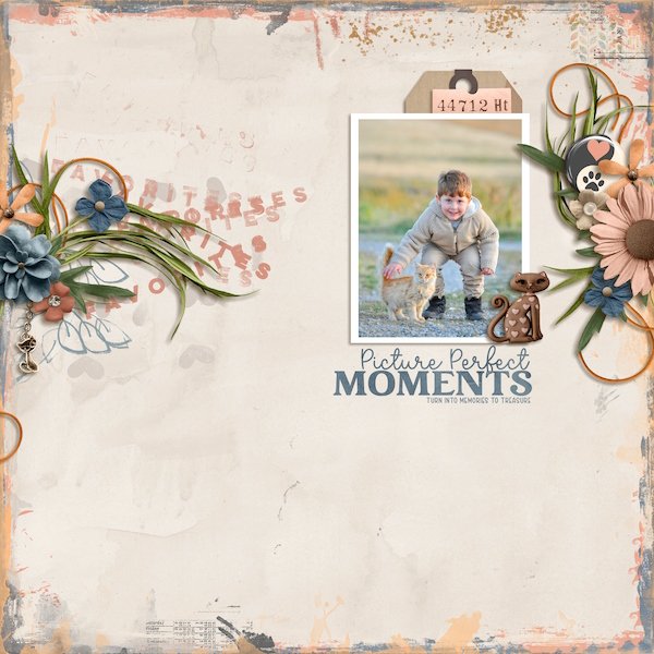 Picture Perfect Moments