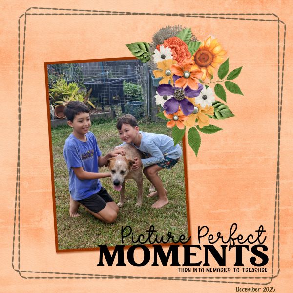 Picture Perfect Moments