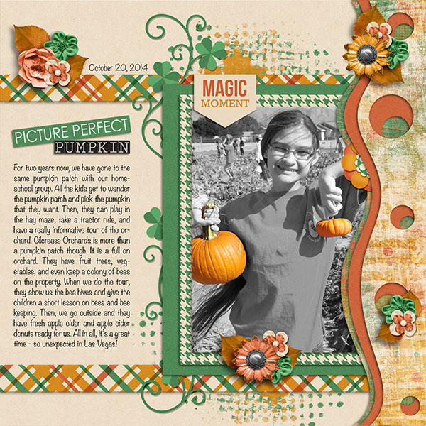 Picture Perfect Pumpkin