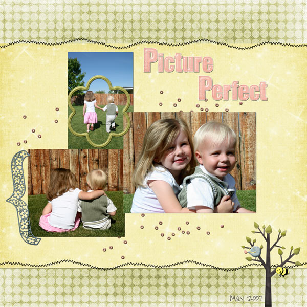 Picture Perfect