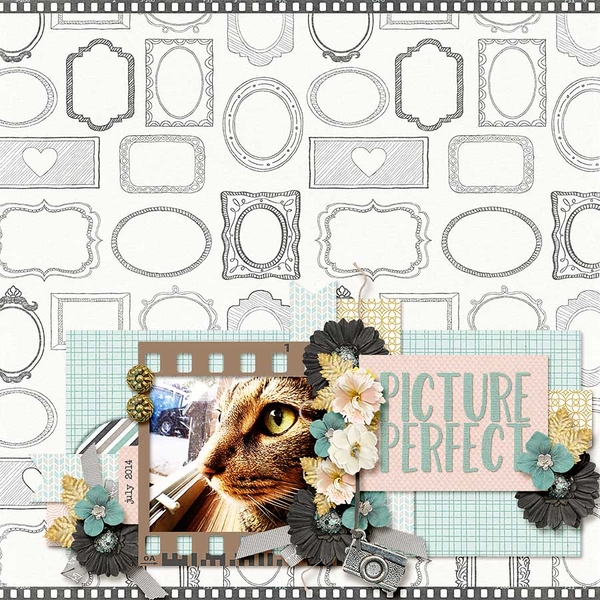 picture perfect