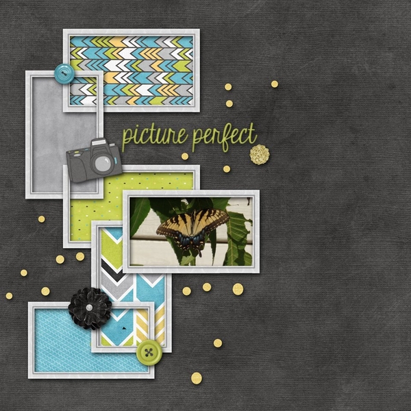 Picture Perfect