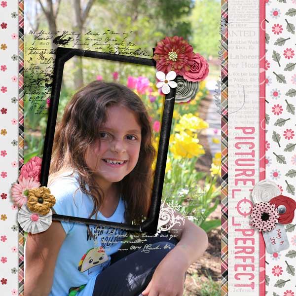 Picture Perfect