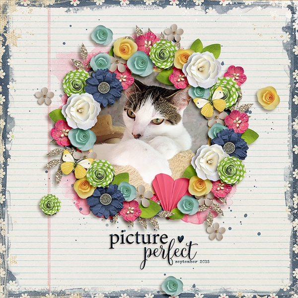 picture perfect