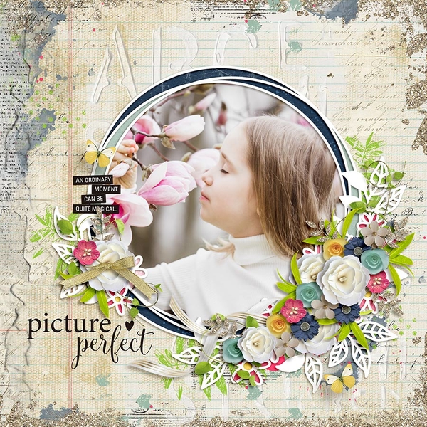 picture perfect