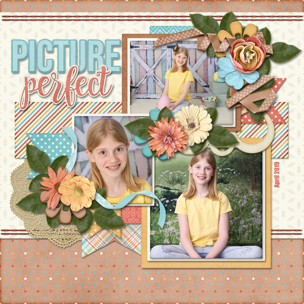 Picture Perfect