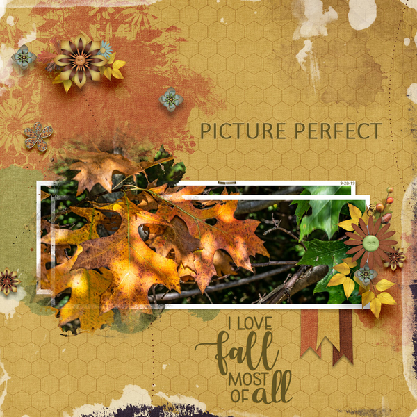 Picture Perfect
