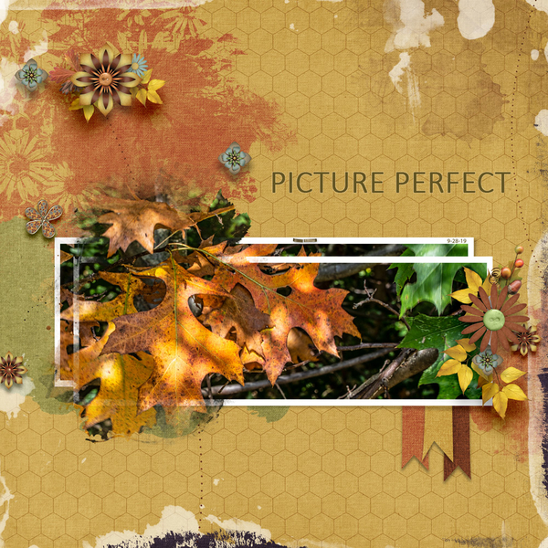 Picture Perfect