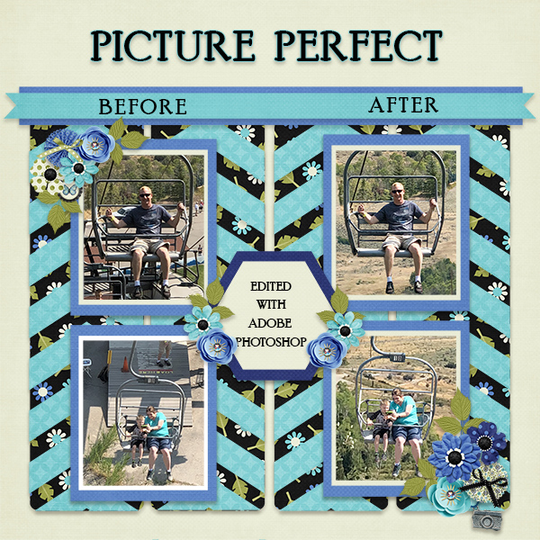 Picture Perfect