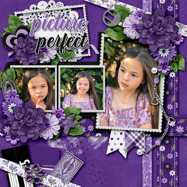 Picture Perfect