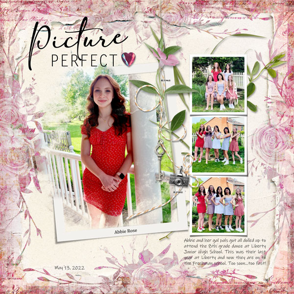 Picture Perfect
