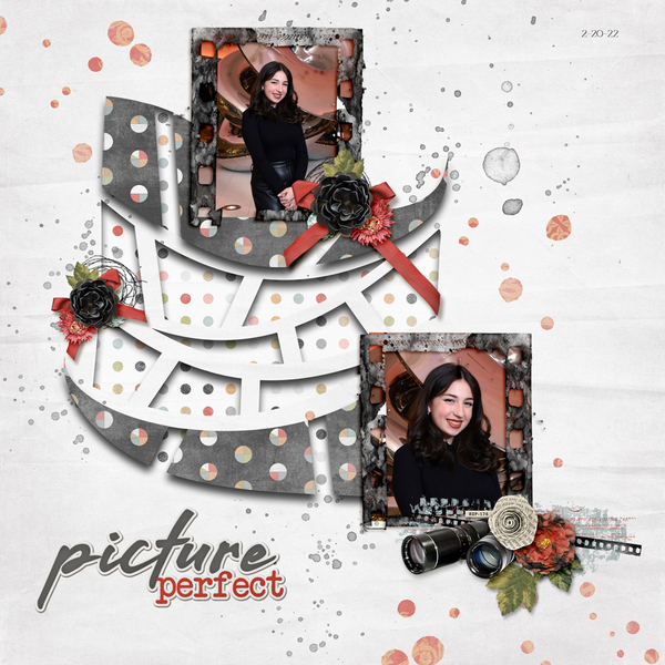 Picture Perfect