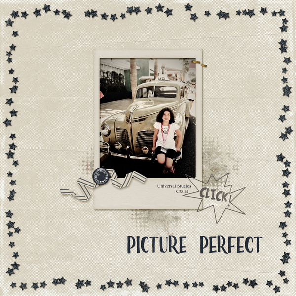 Picture Perfect
