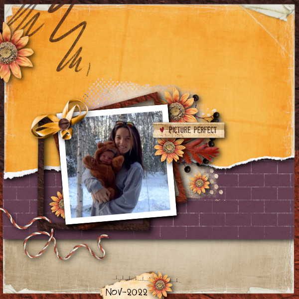 Picture Perfect