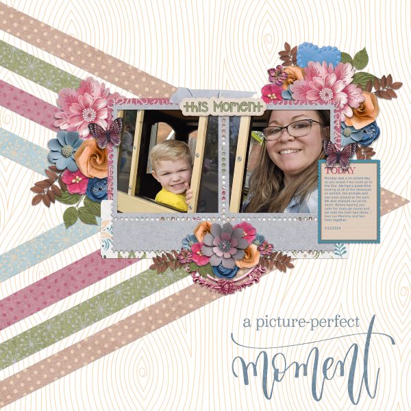 Picture Perfect