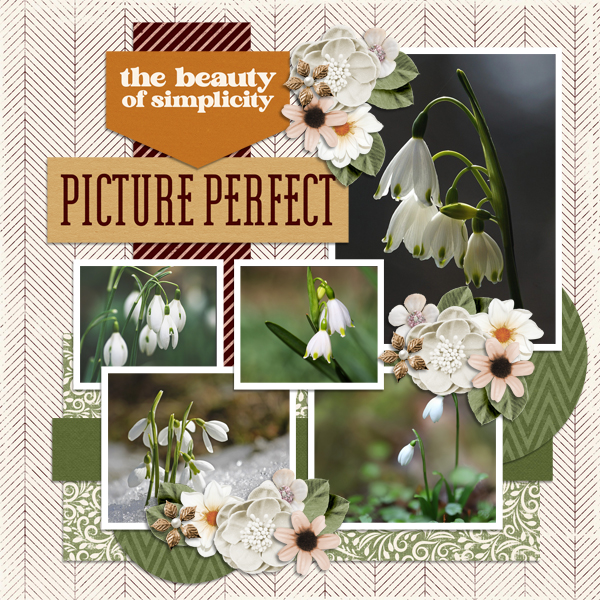 Picture Perfect