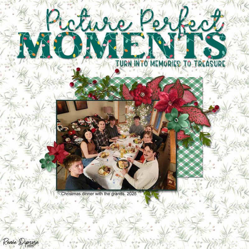 Picture Perfect