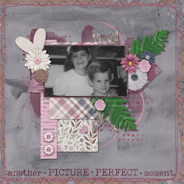 Picture Perfect