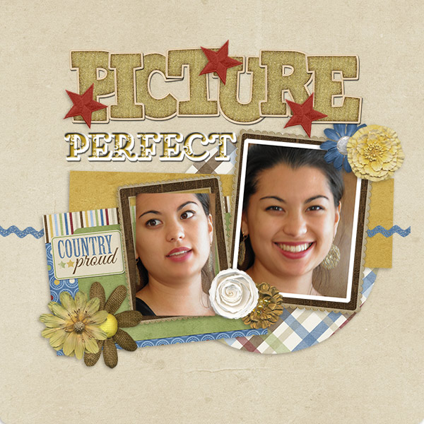 Picture-Perfect_GS