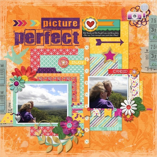 picture_perfect4