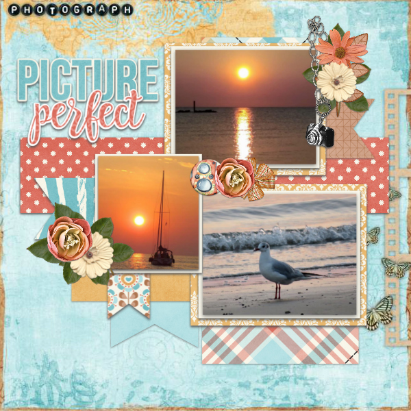 Picture_perfect6