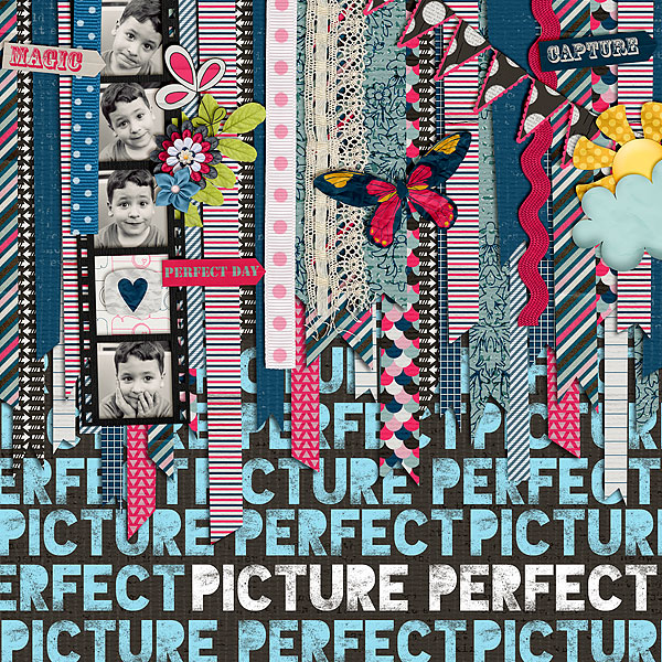 PICTUREPERFECT_akizo_PWPapers2-copy