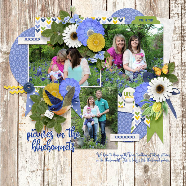 Pictures in the Bluebonnets