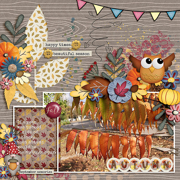 Pieces Of Autumn