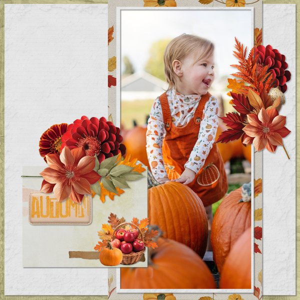 Pieces of autumn