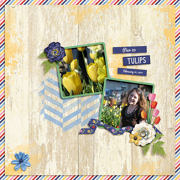 Pier 39 Tulips