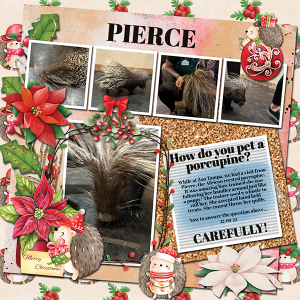 Pierce