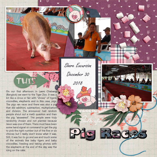 Pig Races