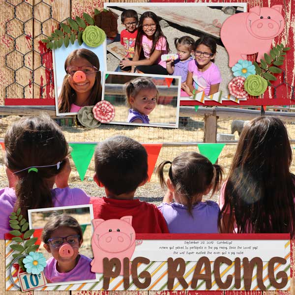 Pig Racing