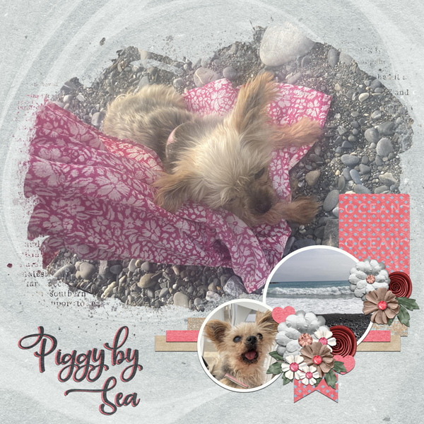 Piggy By Sea