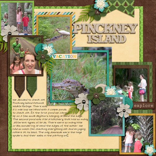 Pinckney Island