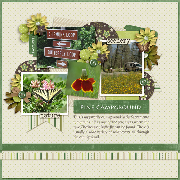 Pine Campground
