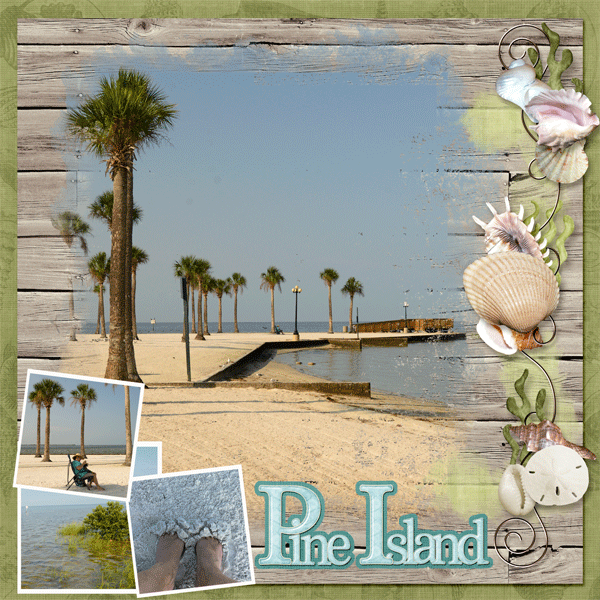 Pine Island