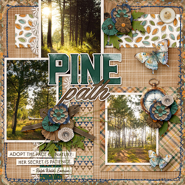 Pine Path