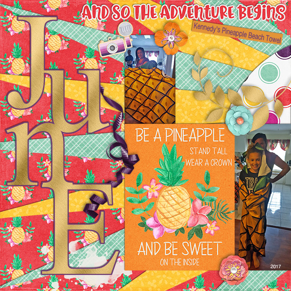 Pineapple Beach Towel
