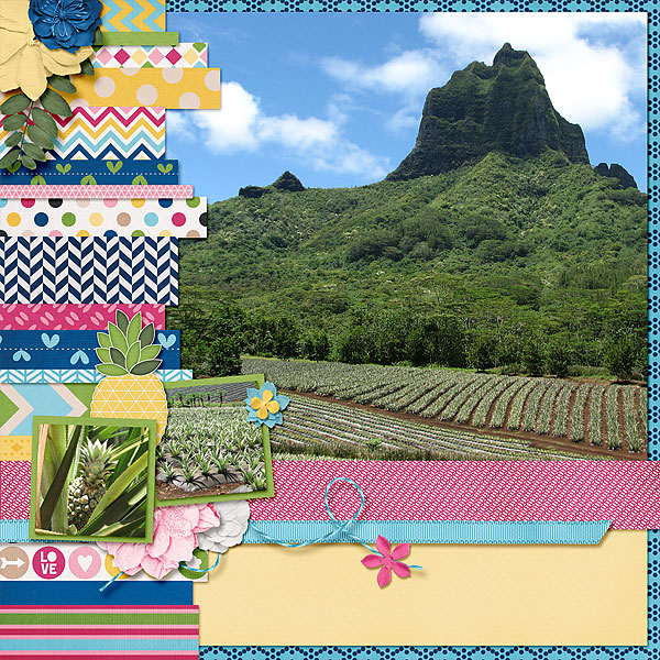 Pineapple Plantation 1