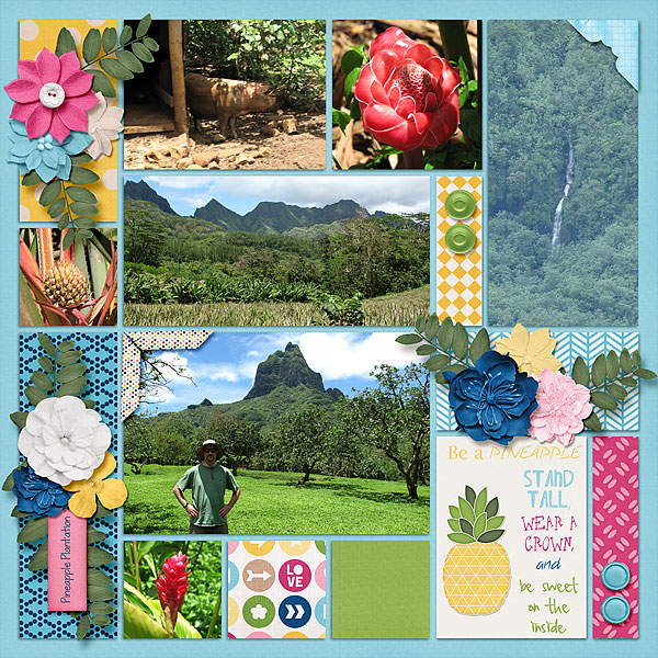 Pineapple Plantation 2