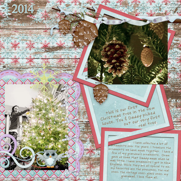 pinecones on the tree