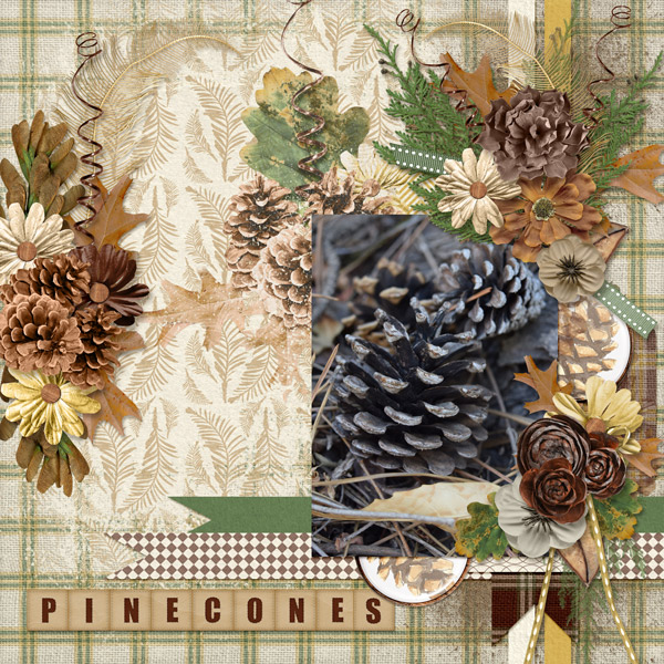 pinecones