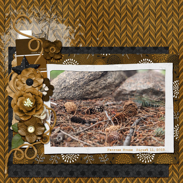 Pinecones