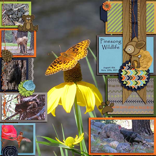 Pinesong Wildlife